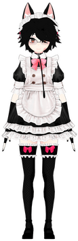 Davidko Maid old
